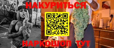 спиды Новодвинск