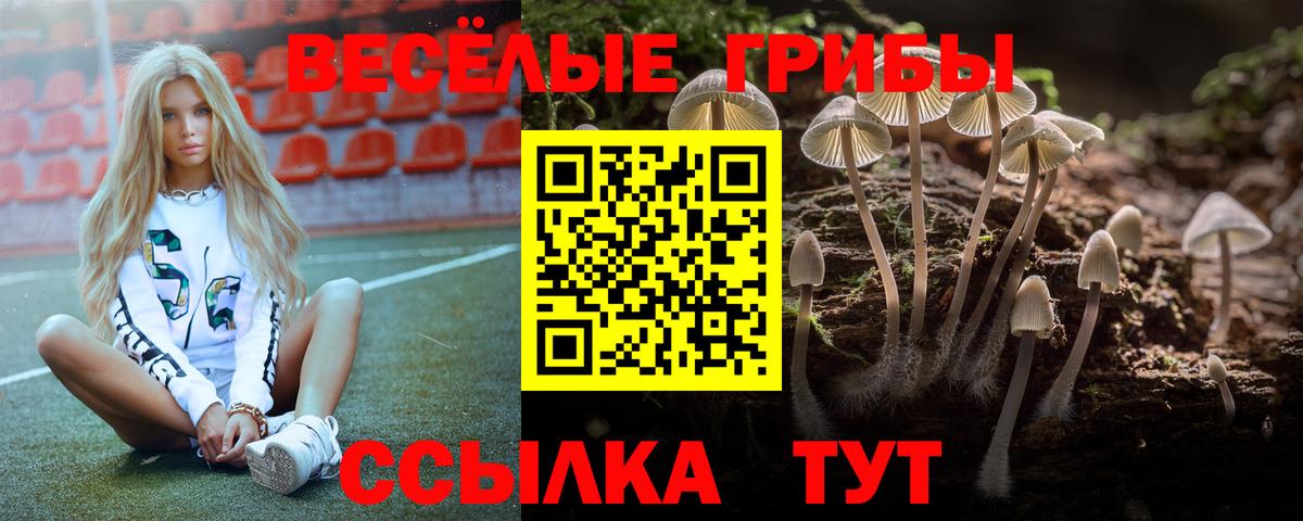 Галлюциногенные грибы MAGIC MUSHROOMS  наркотики  Рыбинск  Галлюциногенные грибы MAGIC MUSHROOMS  Вход с VPN 